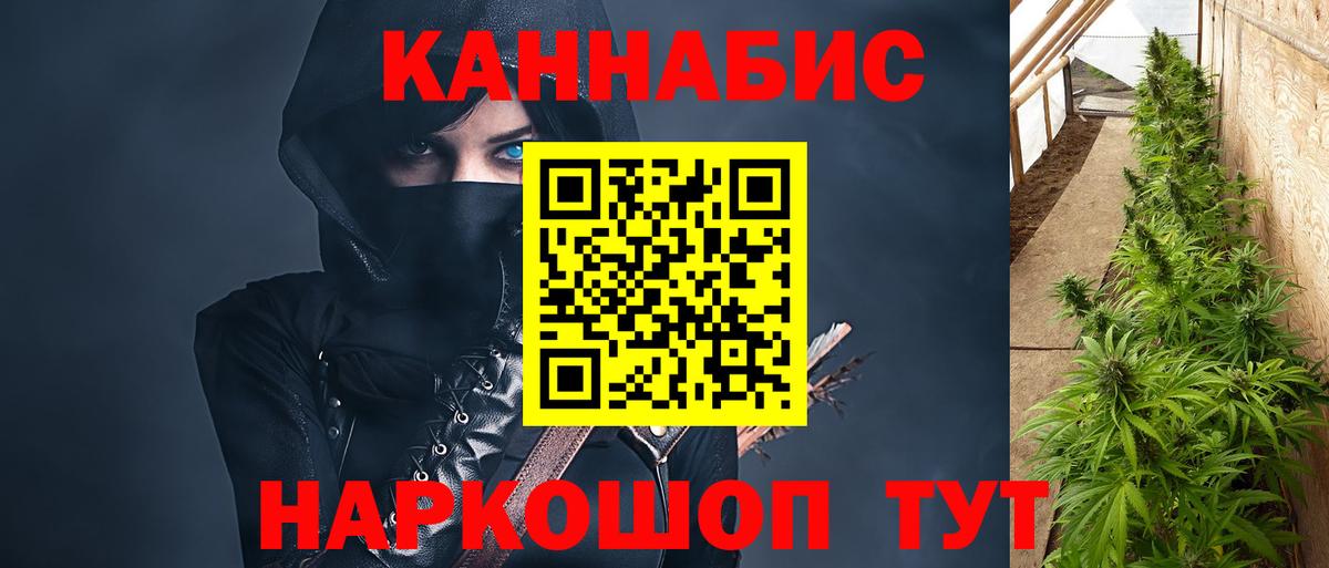 Бошки марихуана Amnesia  Каннабис сатива  Феодосия  Вход с VPN  Шишки марихуана сатива 